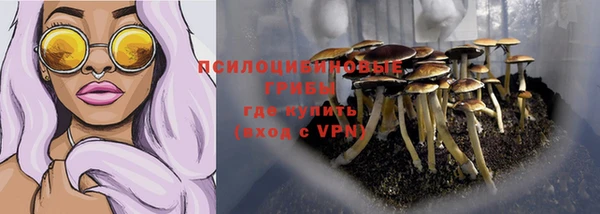 крисы Нязепетровск