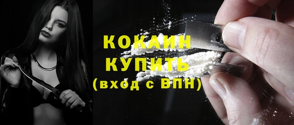 стаф Няндома