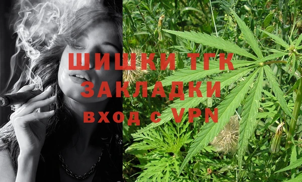 стаф Няндома