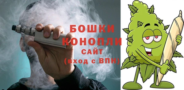 стаф Няндома