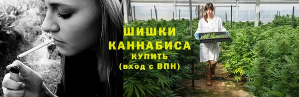 PSILOCYBIN Нягань