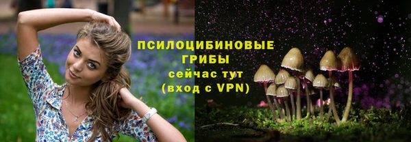 крисы Нязепетровск
