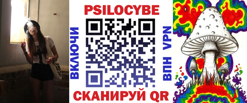 Галлюциногенные грибы Psilocybe купить наркоту Кубинка