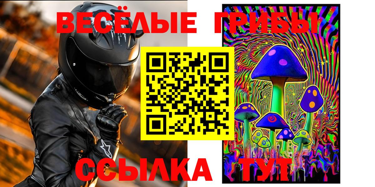 Псилоцибиновые грибы Psilocybine cubensis  Кубинка 