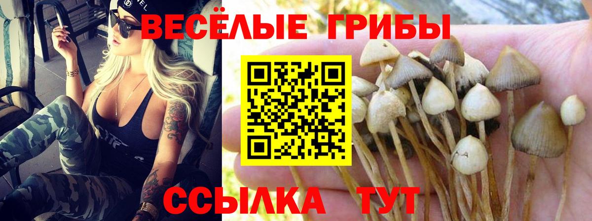 Кубинка  Галлюциногенные грибы мухоморы  Вход с VPN  Псилоцибиновые грибы Cubensis 