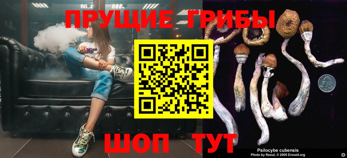 A PVP Кубинка