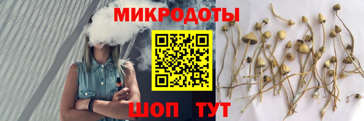 Галлюциногенные грибы MAGIC MUSHROOMS Кубинка